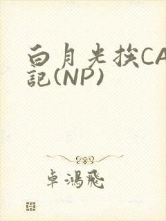 白月光挨CAO记(NP)