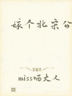 嫁个北宋公务员