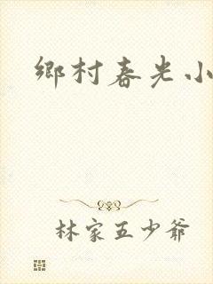 乡村春光小说