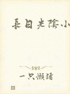 长日光阴小说封面