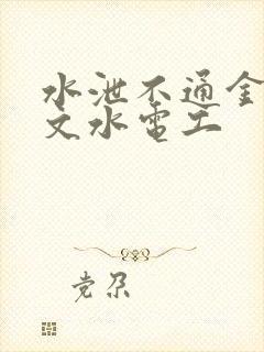 水泄不通金银原文水电工封面