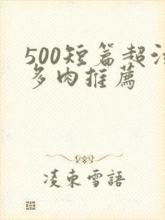 500短篇超污多肉推荐