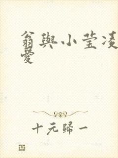 翁与小莹凌晨欢爱封面