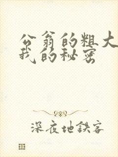 公翁的粗大放进我的秘密