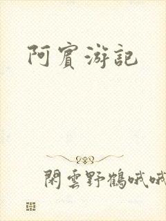 阿宾游记封面