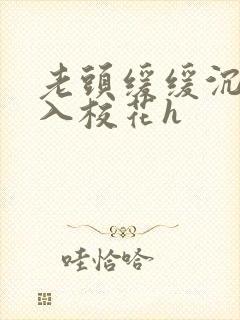 老头缓缓沉腰进入校花h