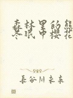 森林里的熊先生冬眠中樱花动漫