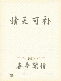 情天可补封面