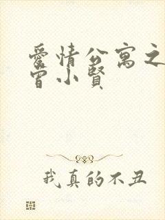 爱情公寓之极品曾小贤