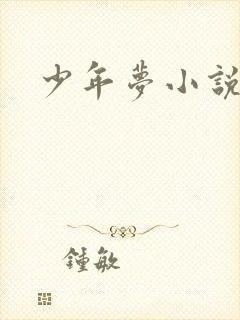 少年梦小说