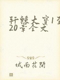 轩辕大宝1至720章全文封面