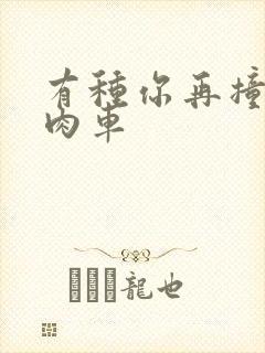 有种你再撞一下肉车