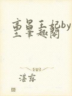 高昌王妃by黛玉笔趣阁