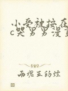 小受被按在墙上c哭男男漫画封面