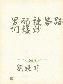 男配被各路大佬们爆炒