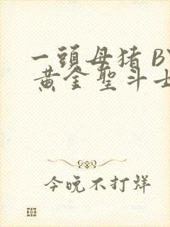 一头母猪 BY 黄金圣斗士