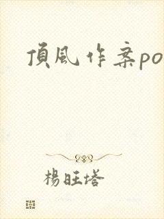 顶风作案po封面
