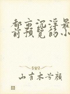 都市沉浮最快超前预览的小说3030