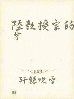 陆教授家的小月牙