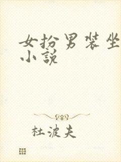 女扮男装坐江山小说