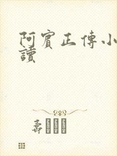 阿宾正传小说在读