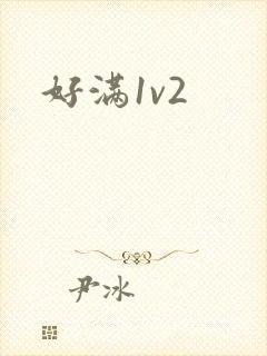 好满1v2