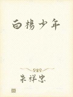 白杨少年