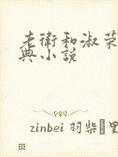 老卫和淑荣的经典小说