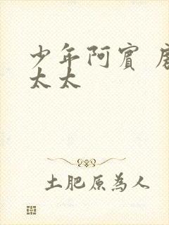 少年阿宾 房东太太