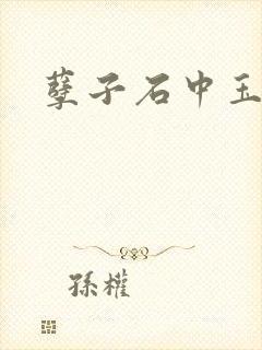 孽子石中玉