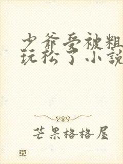 少爷受被粗汉H玩松了小说