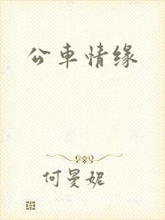 公车情缘