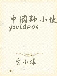 中国帅小伙gayxvideos