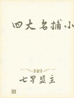 四大名捕小说封面