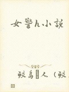 女警h小说