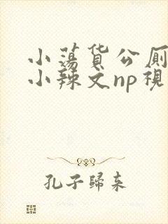 小荡货公厕h文小辣文np视频