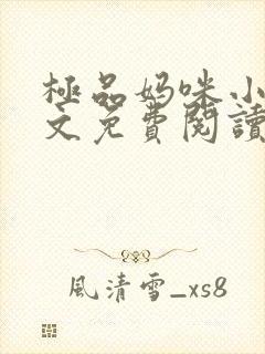 极品妈咪小说全文免费阅读