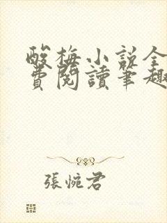 酸梅小说全文免费阅读笔趣阁