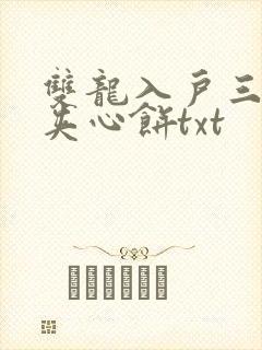 双龙入户三人行夹心饼txt