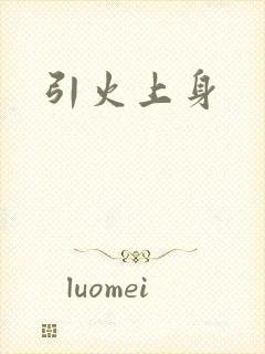 引火上身封面
