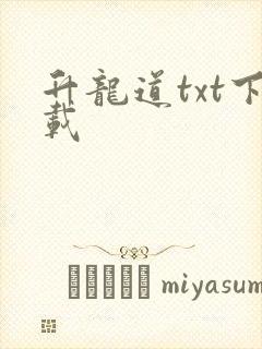 升龙道txt下载