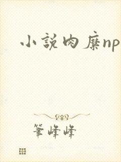 小说肉糜np