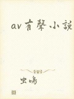 av有声小说封面