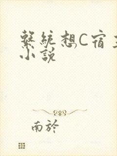 系统想C宿主的小说