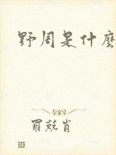 野周是什么意思封面