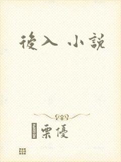 后入 小说