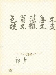 色翁荡息又大又硬又粗又爽