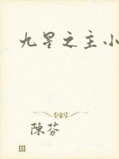 九星之主小说