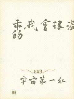 乖,我会很温柔的封面