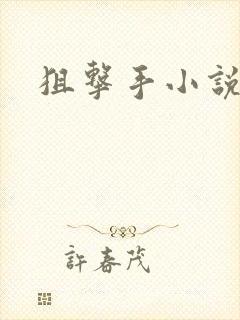 狙击手小说封面